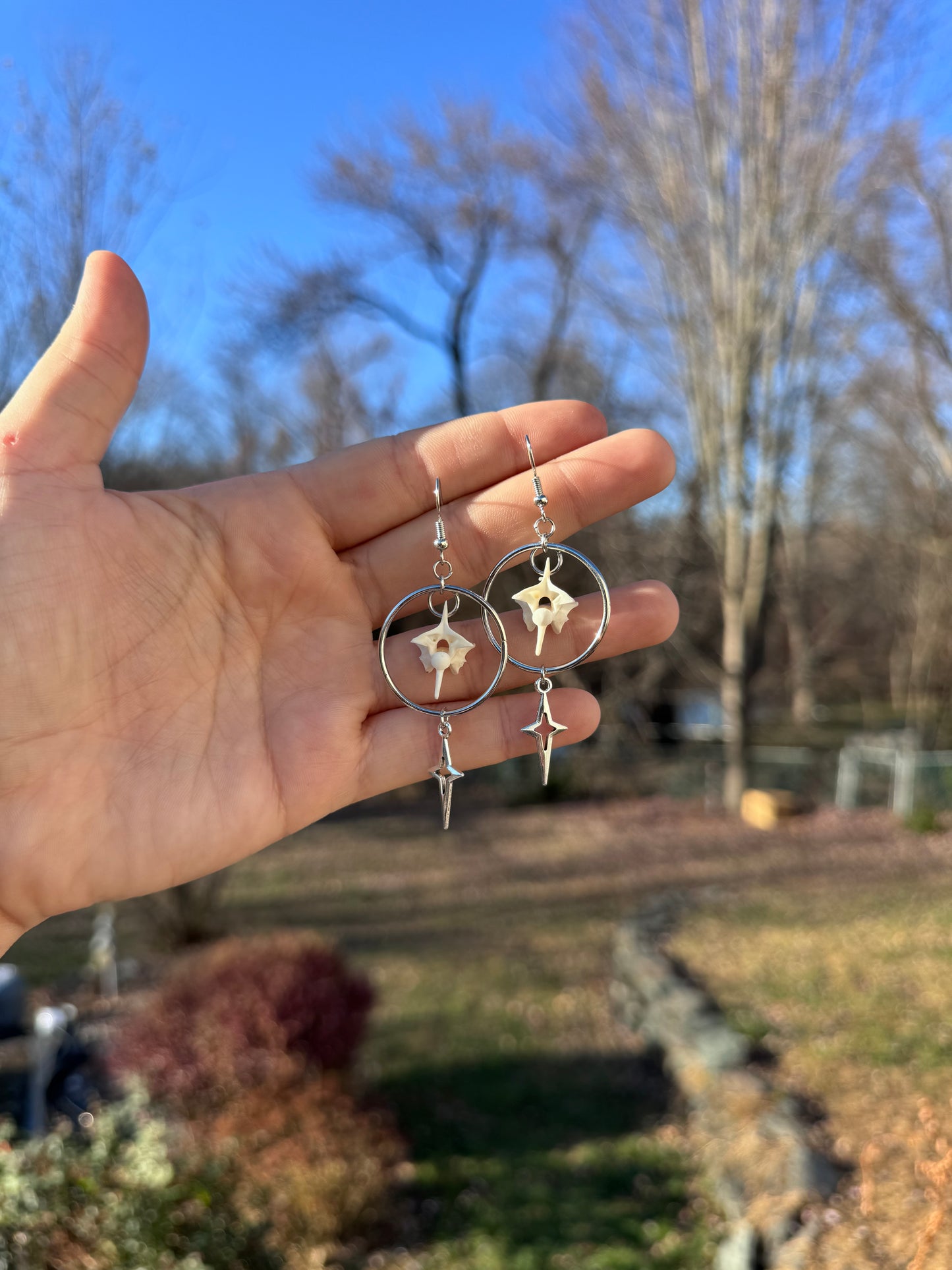 Star Vertebrae Earrings