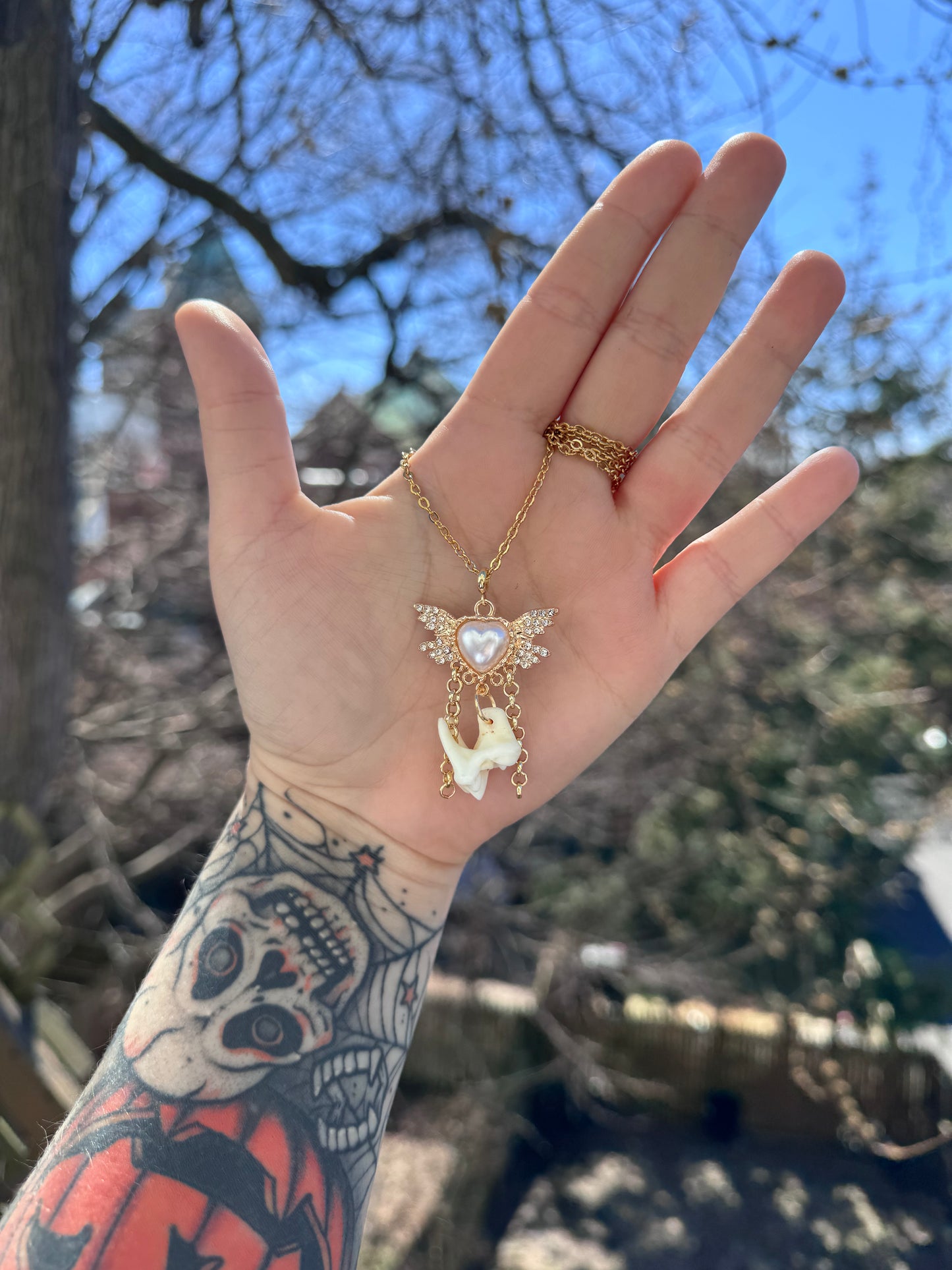 Angel Coyote Molar Necklace