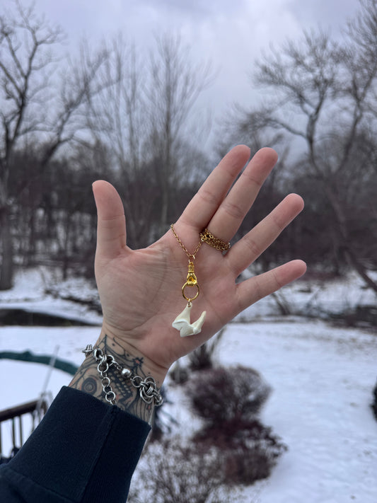 Coyote Tooth Hand Gold Necklace