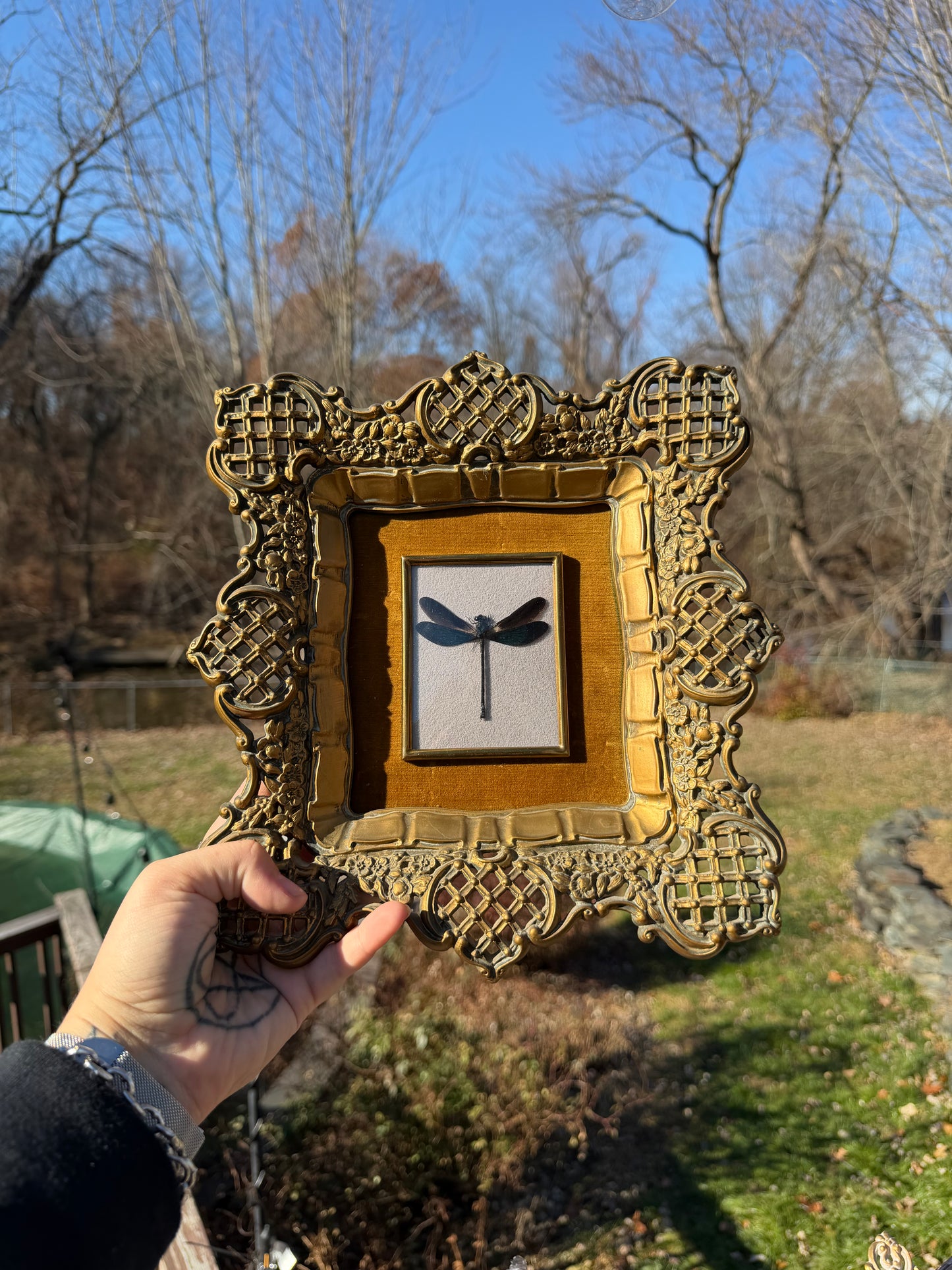 Vintage Dragonfly Frame