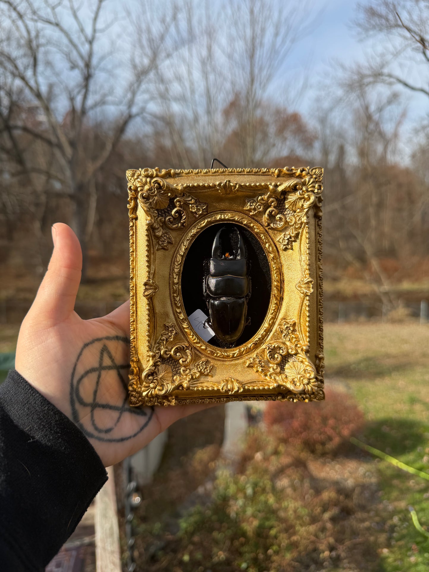Gold Black Stag Frame
