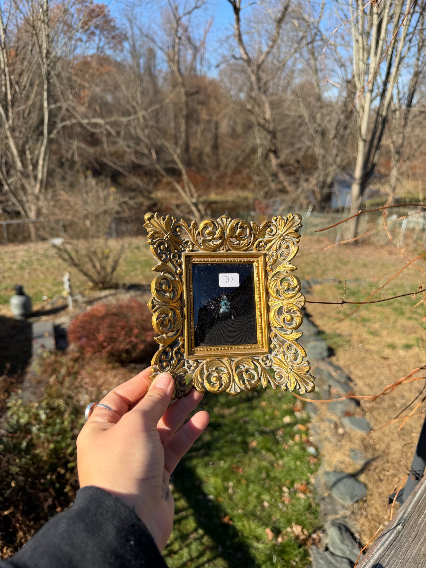 Vintage Bee Frame
