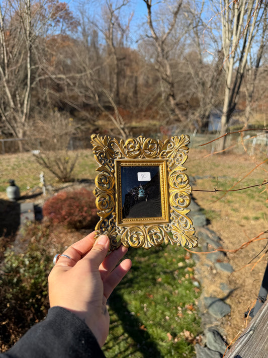 Vintage Bee Frame