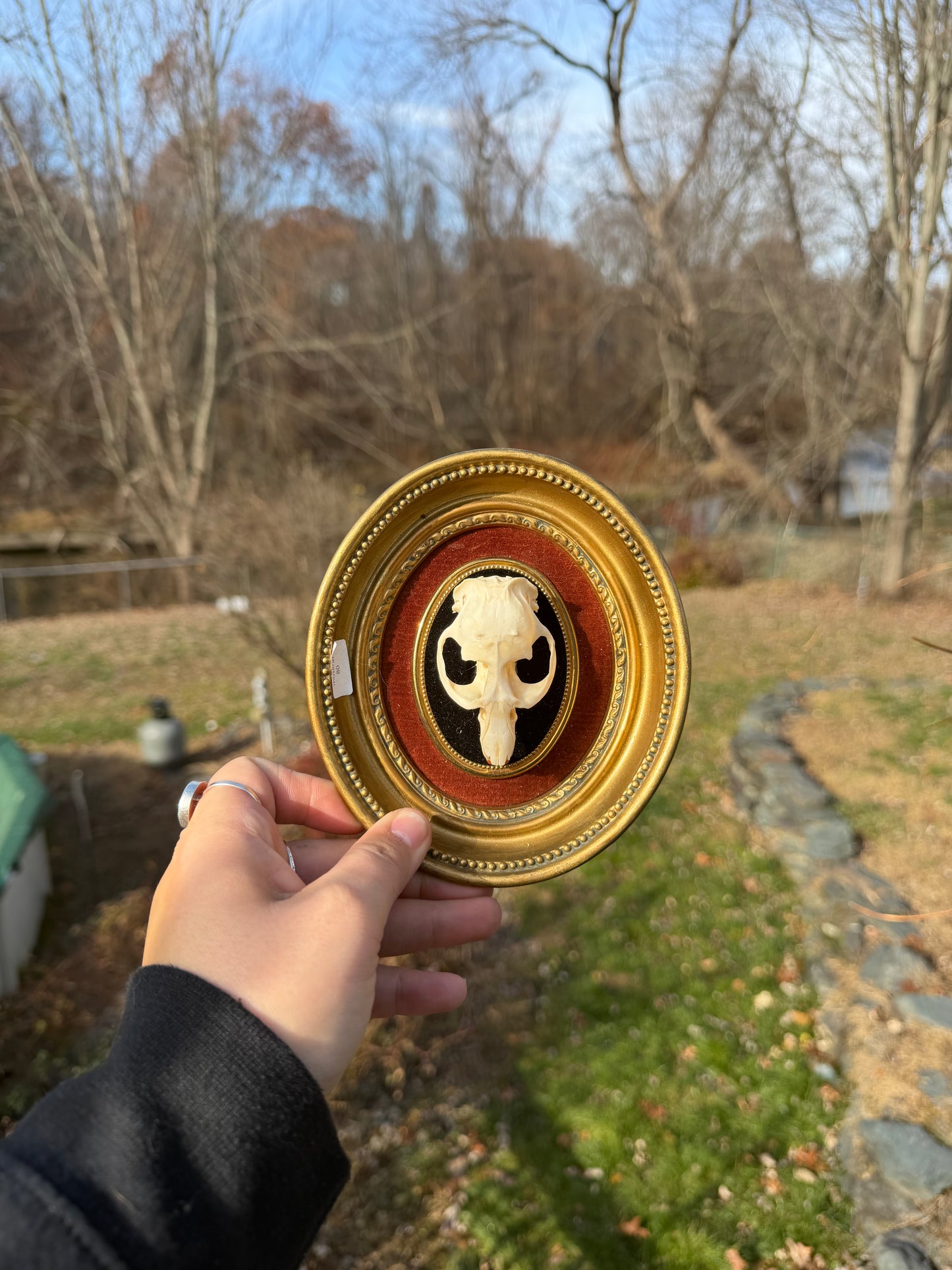 Vintage Muskrat Frame