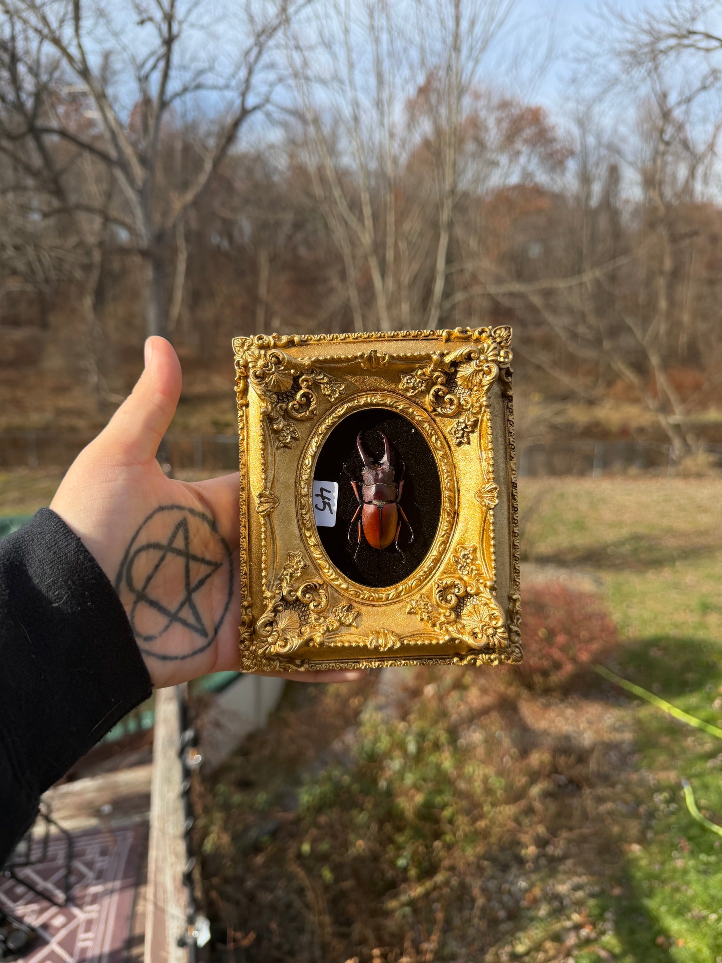Gold Black Red Stag Frame