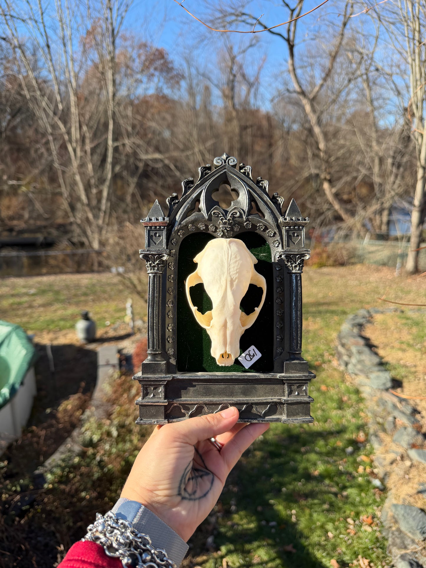 Black Green Raccoon Skull Frame