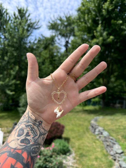 Spiked Coyote Molar Necklace