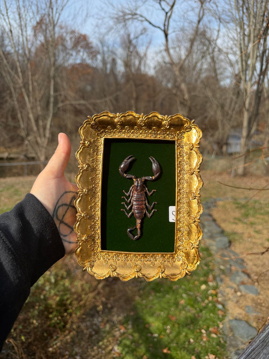 Gold Green Scorpion Frame
