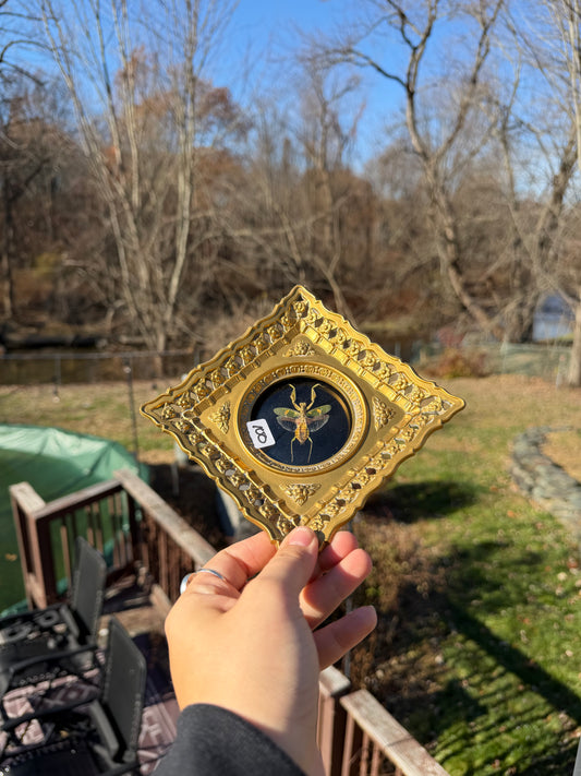 Vintage Mantis Frame