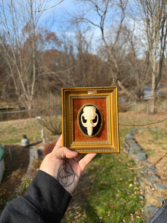 Vintage Muskrat Frame
