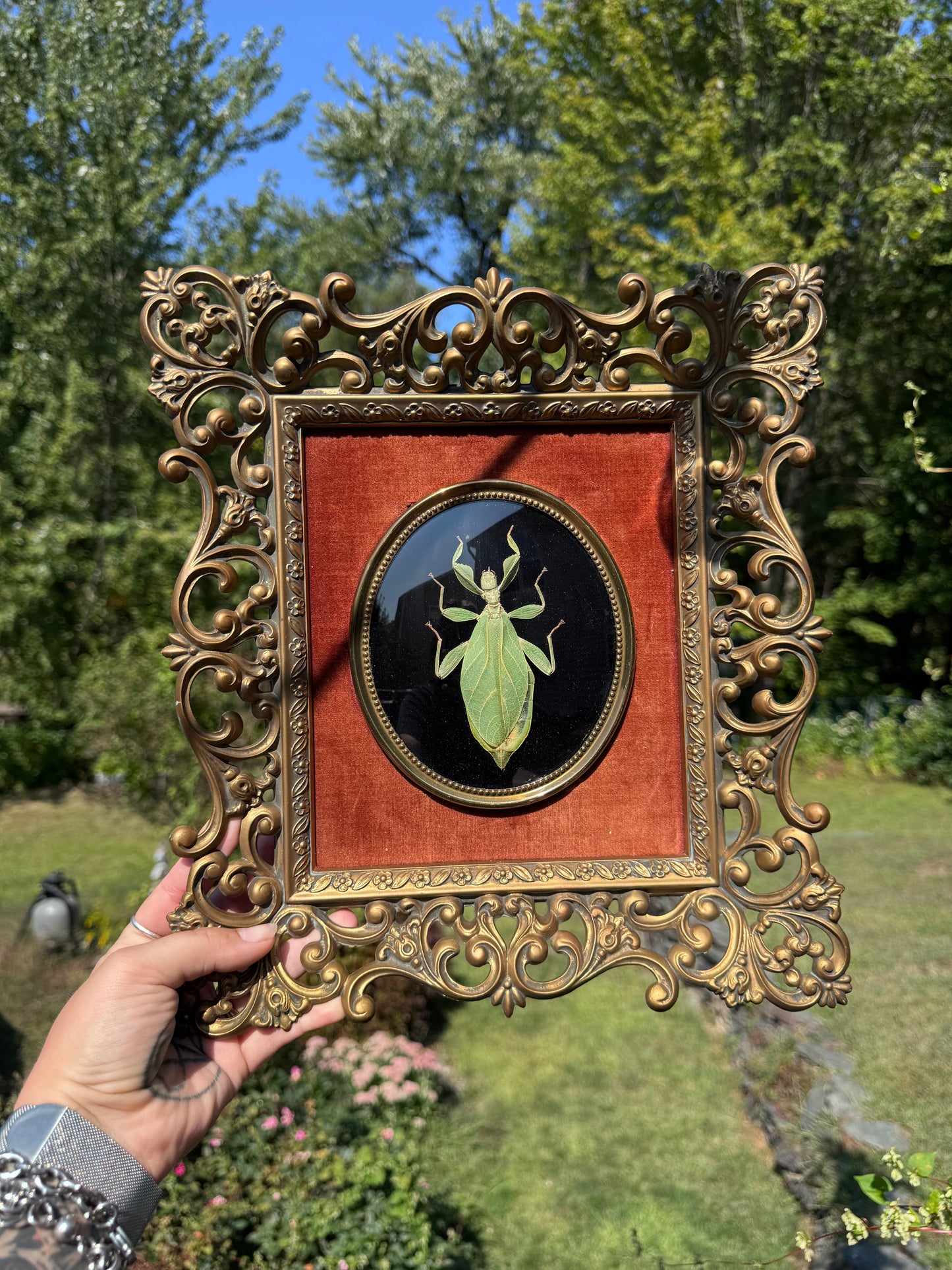 Vintage Leafbug Frame