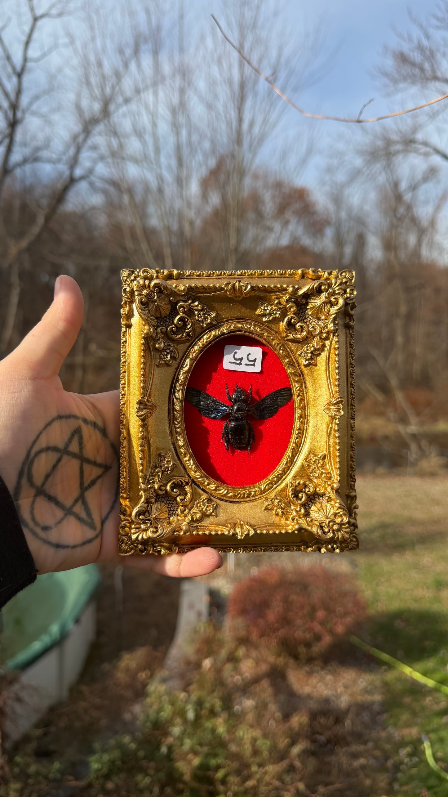 Gold Red Wasp Frame