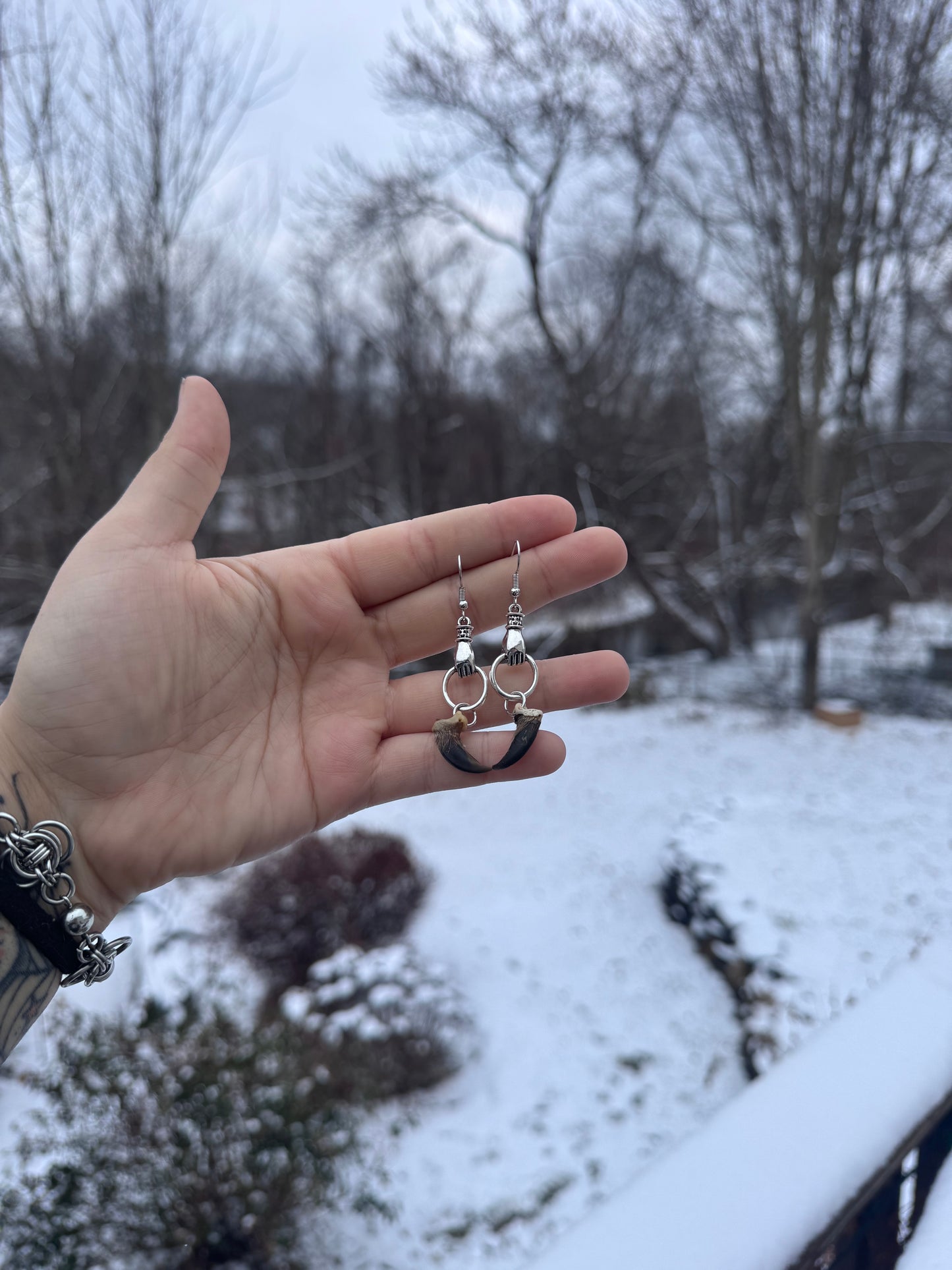 Coyote Claw Earrings 2