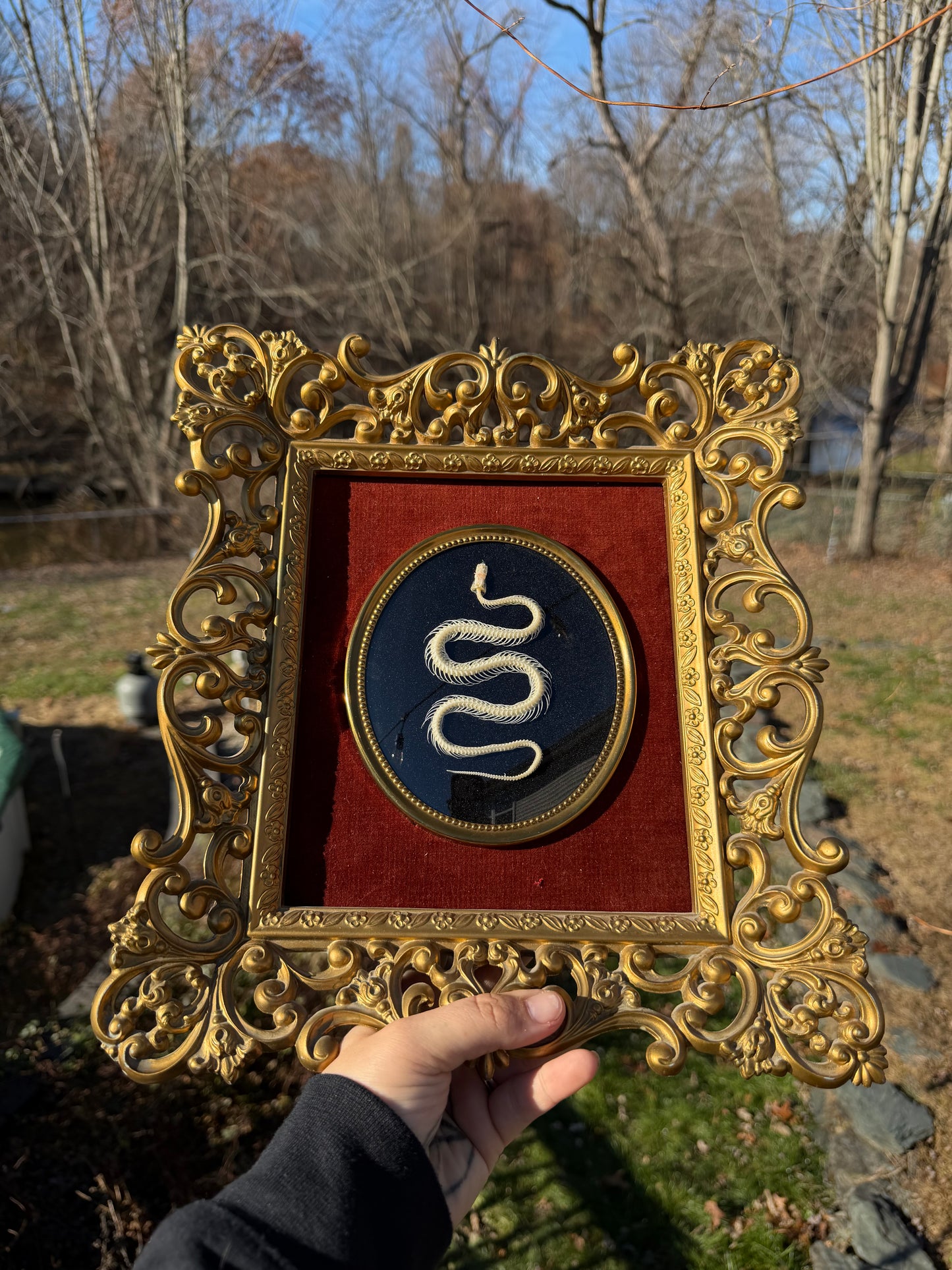 Vintage Snake Frame