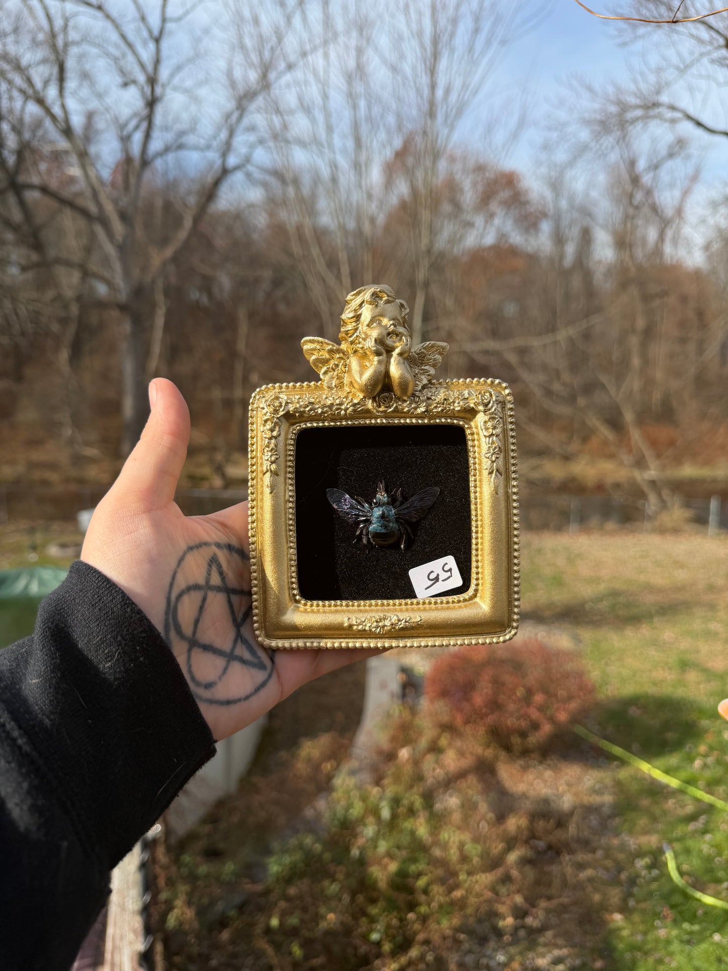 Gold Black Blue Bee Frame