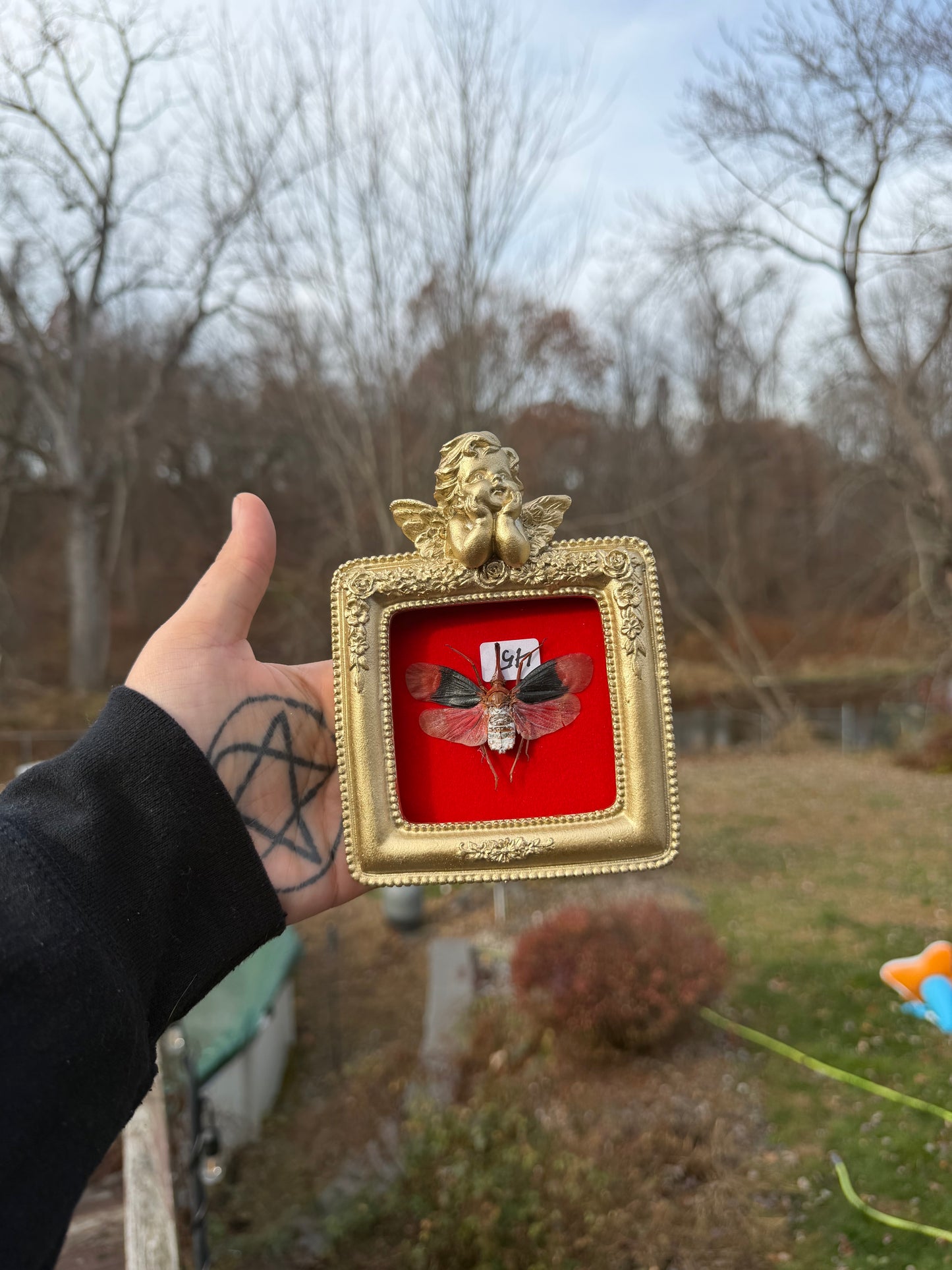 Gold Red Lanternfly Frame