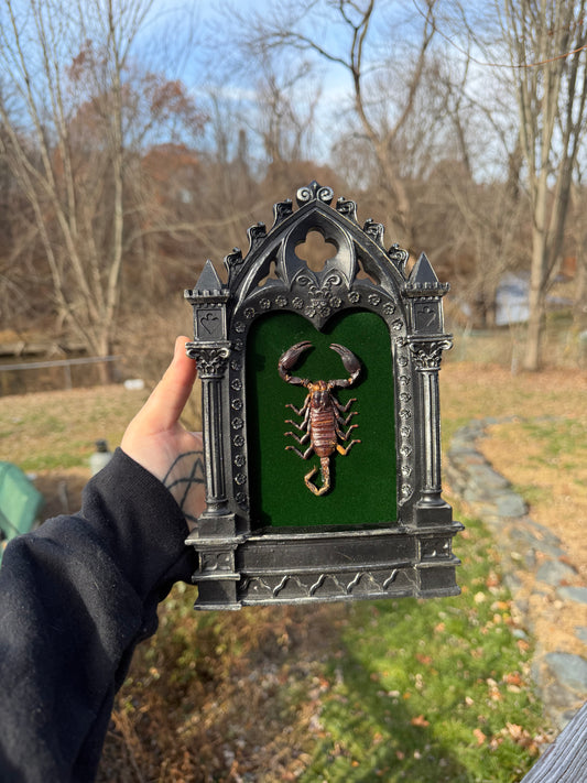 Black Green Scorpion Frame