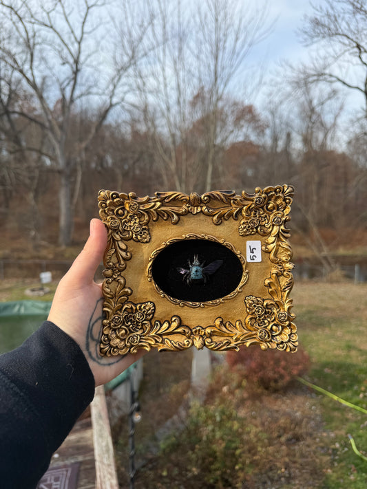 Gold Black Bee Large Frame