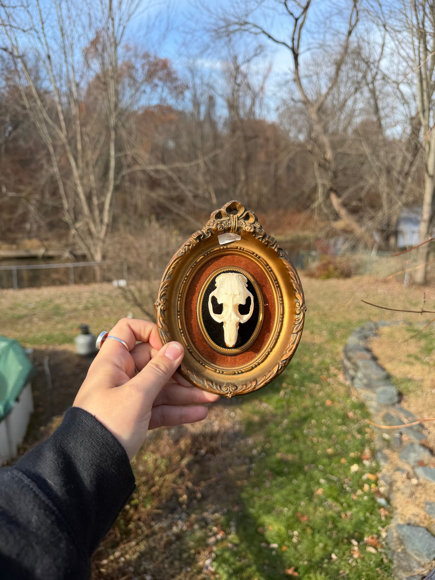 Vintage Muskrat Frame