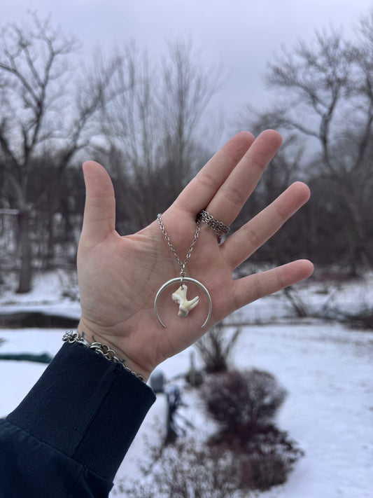 Moon Tooth Necklace