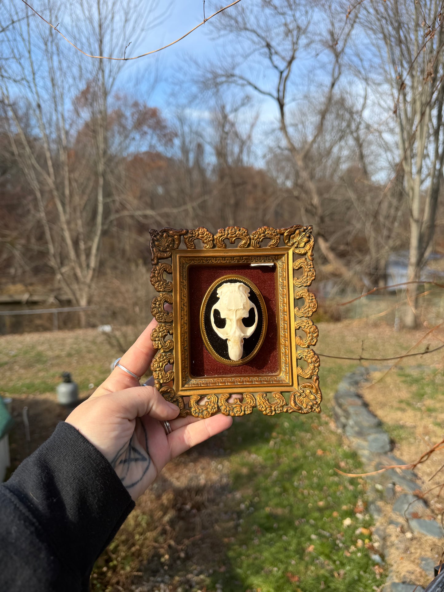 Vintage Muskrat Frame