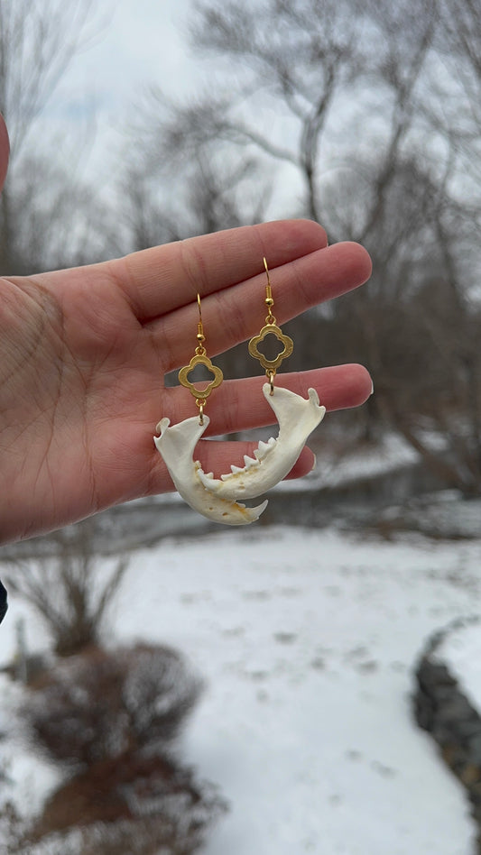 Gold Mink Jaw Earrings