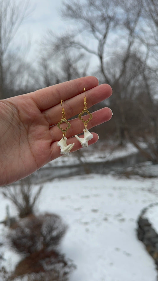 Gold Tooth Earrings