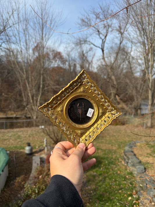 Vintage Scorpion Frame