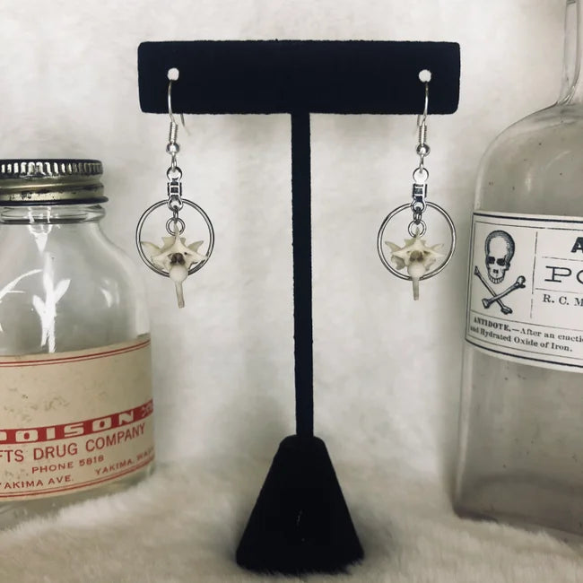 Snake Vertebrae Hoop Earrings