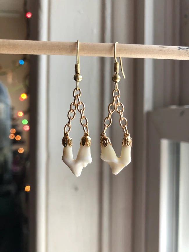 Dangling Molar Earrings