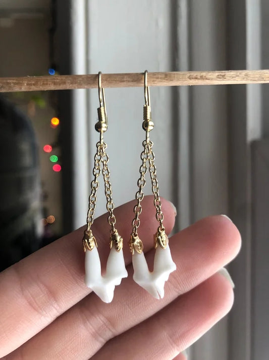 Dangling Molar Earrings