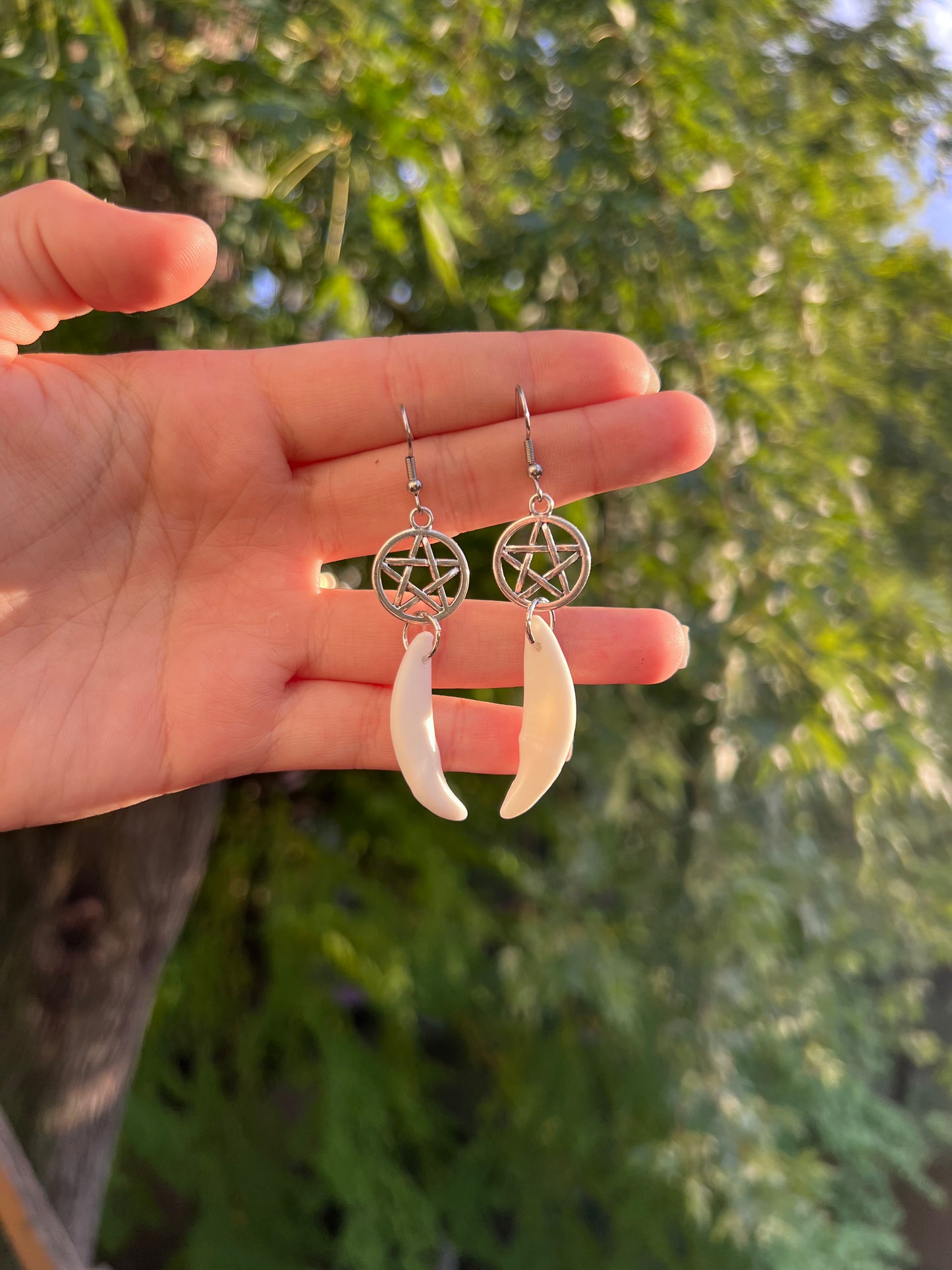 Pentacle Coyote Fang Earrings