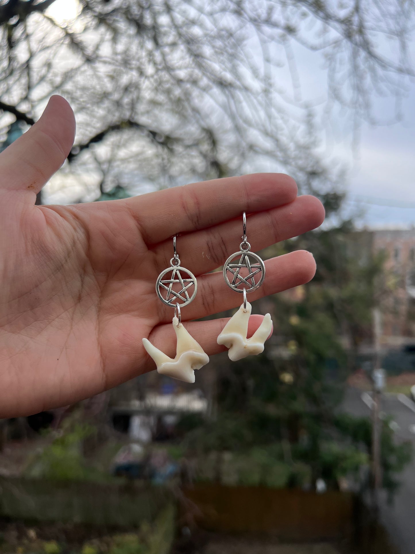 Pentacle Coyote Molar Earrings