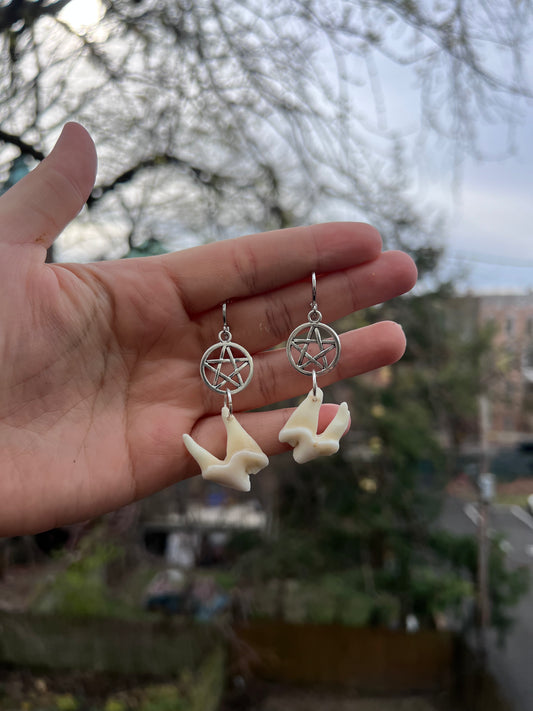Pentacle Coyote Molar Earrings