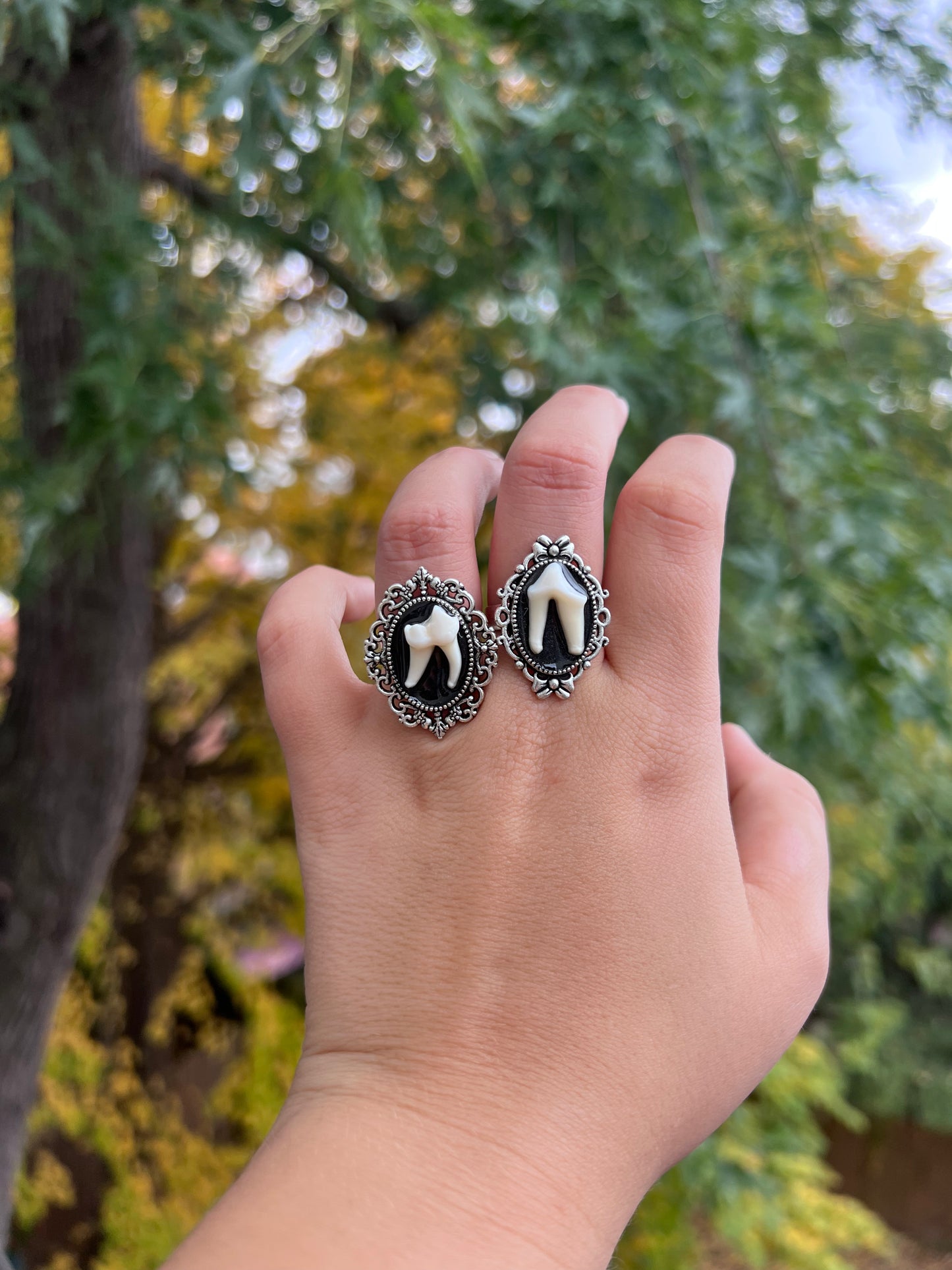 Coyote Molar Cameo Ring