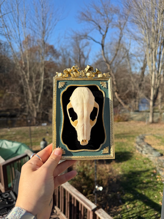 Black Green Raccoon Skull Frame