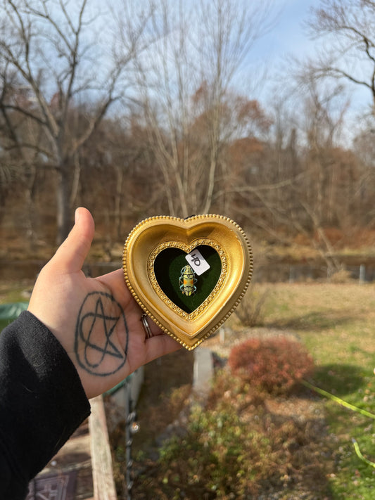 Gold Green Beetle Frame