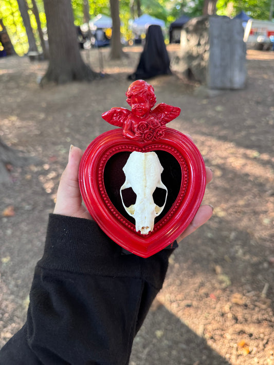 Heart Red Mink Skull Frame