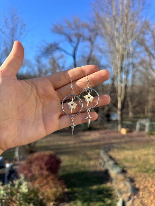 Star Vertebrae Earrings