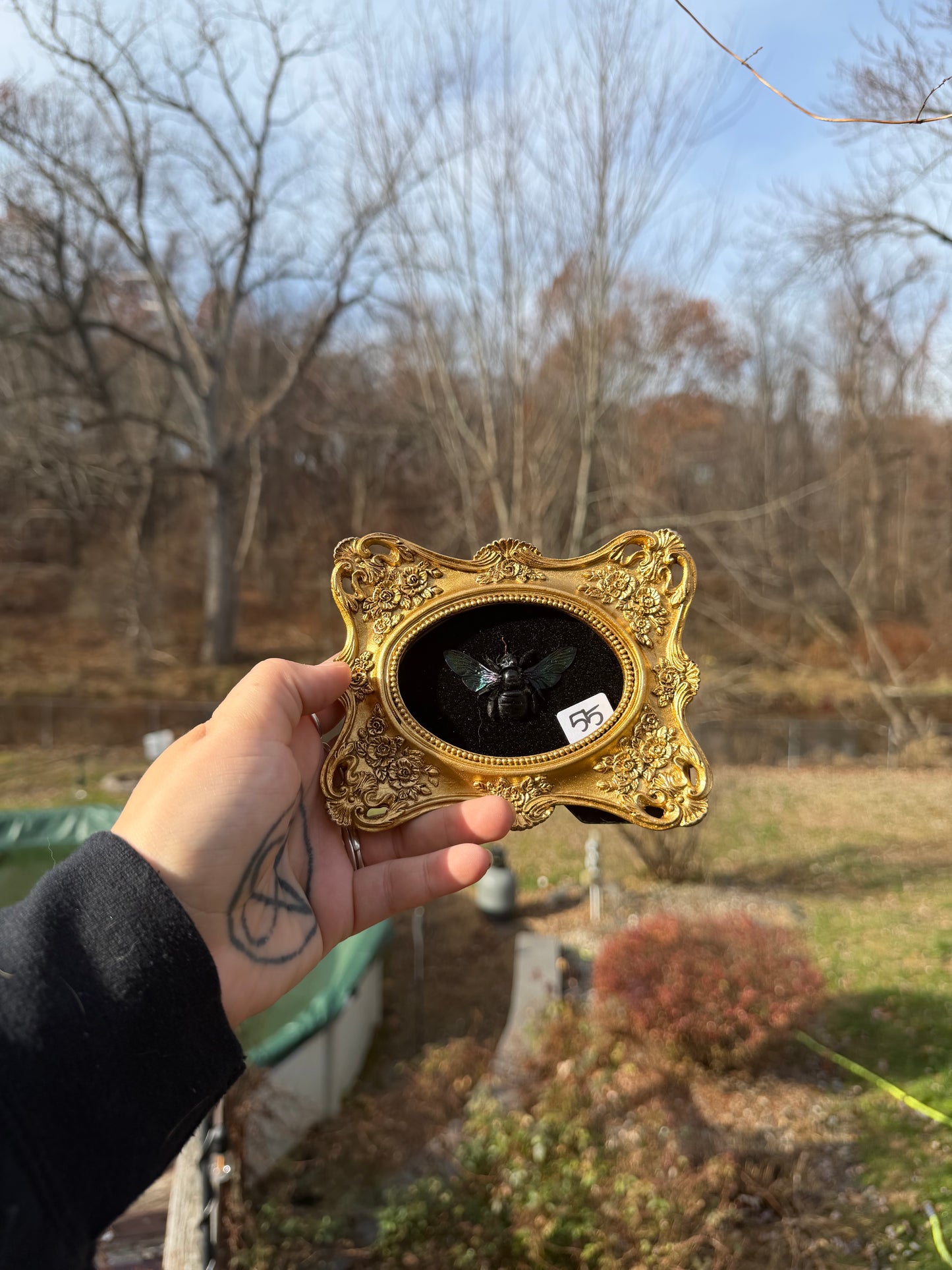 Gold Black Wasp Frame