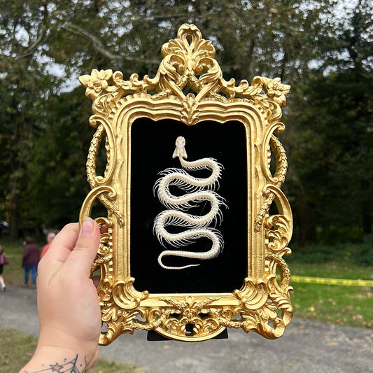 Gold Snake Frame 2