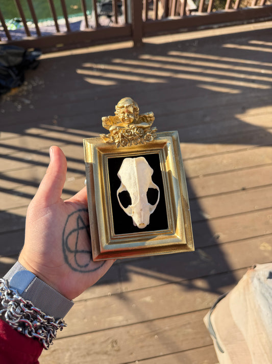 Black Gold Mink Skull Frame