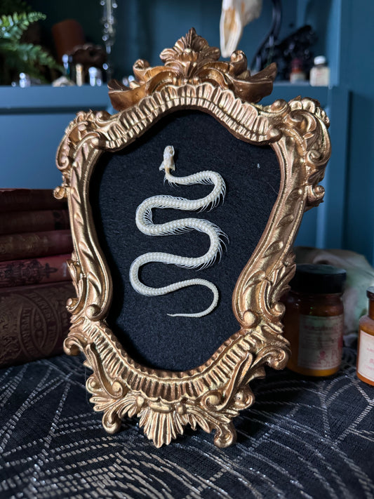 Ornate Gold Snake Frame