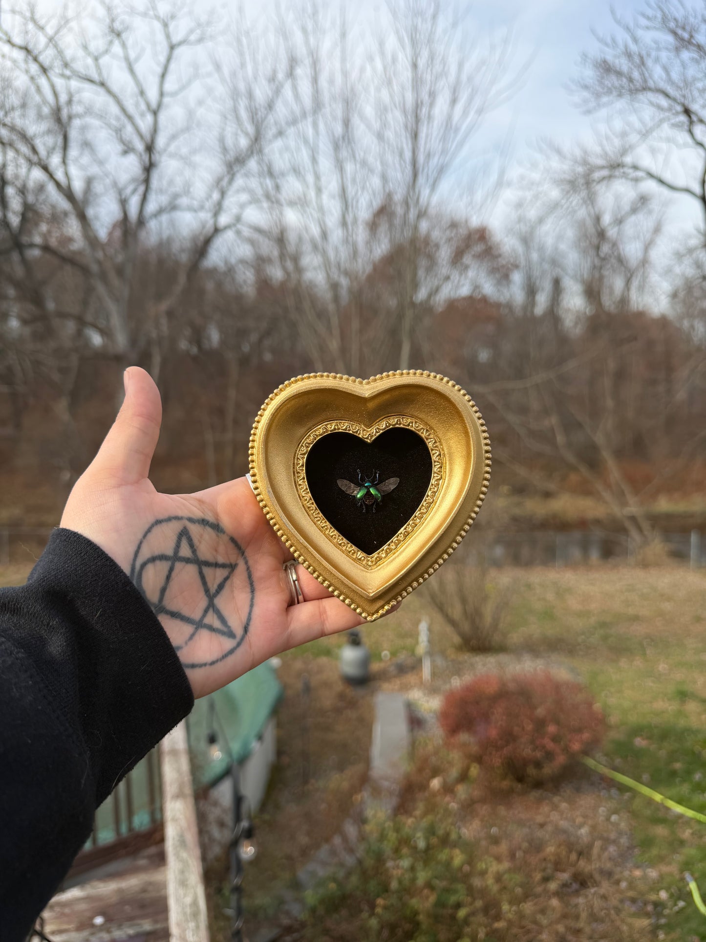 Gold Black Mini Beetle Frame