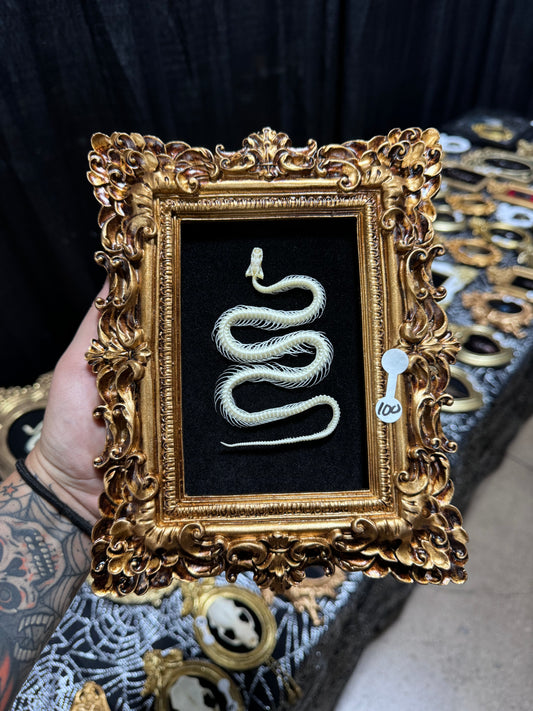 Gold Snake Frame