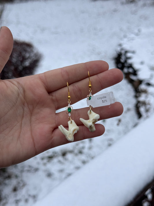 Green Coyote Molar Earrings