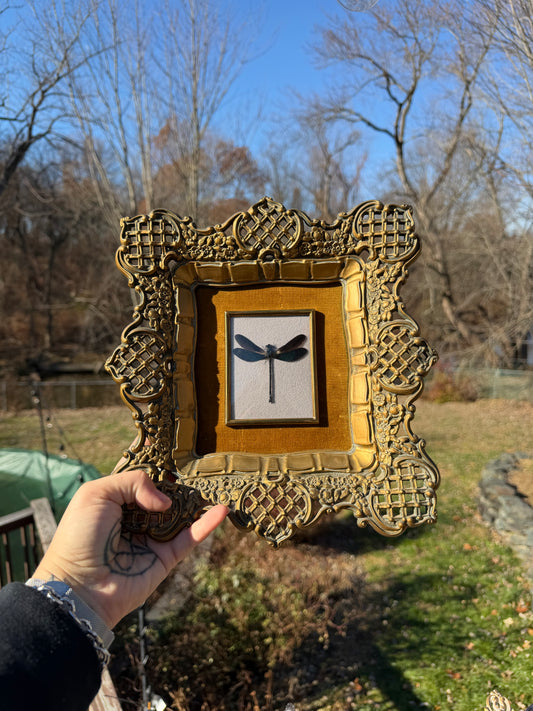 Vintage Dragonfly Frame