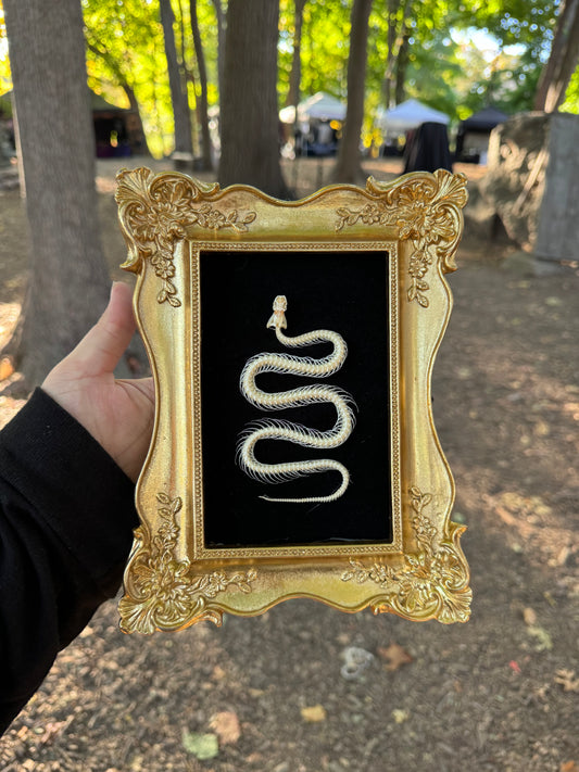 Shiny Gold Snake Frame