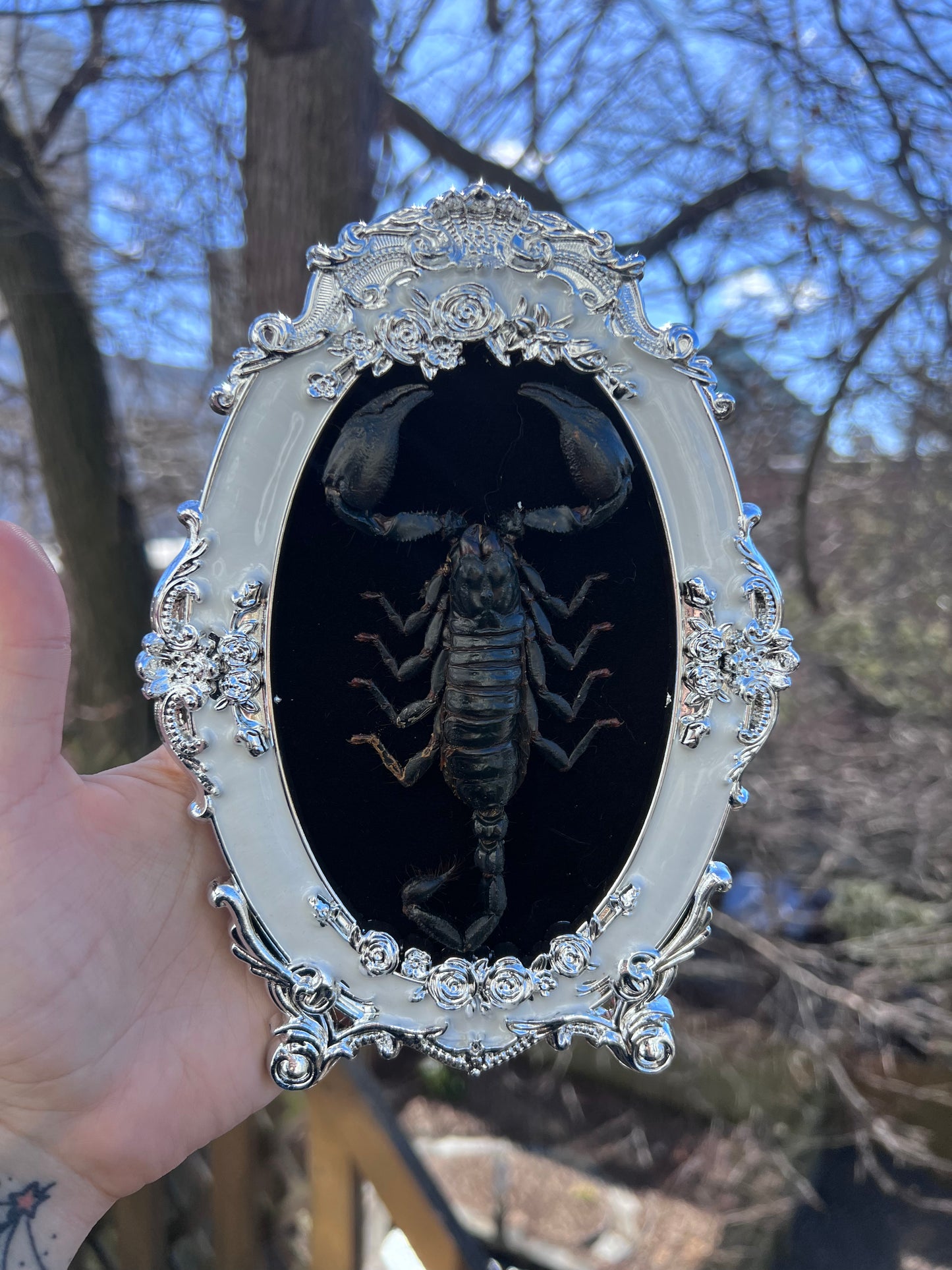 Silver Baroque Scorpion Frame