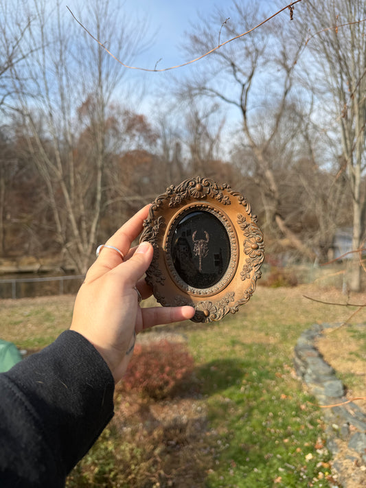 Vintage Scorpion Frame